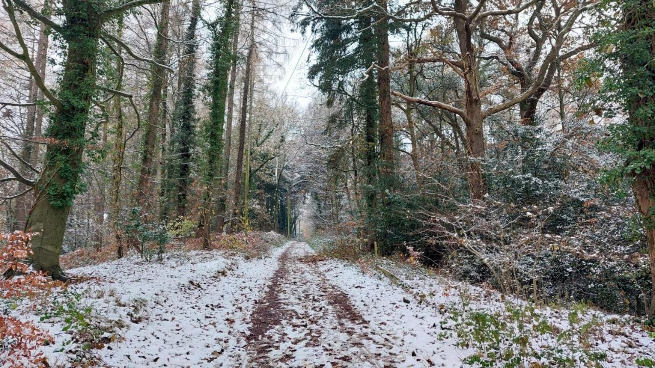 The Beehive - Self Catering In The Heart Of The Forest Of Dean Whitecroft