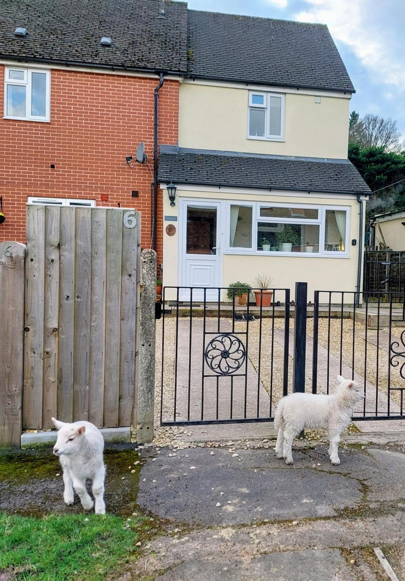 Holiday home The Beehive - Self Catering In The Heart Of The Forest Of Dean
